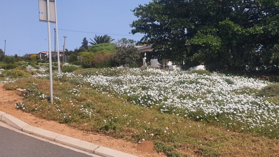  Bedroom Property for Sale in St Helena Views Western Cape